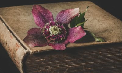 Top 25 Insightful Verses From the Book of Sirach