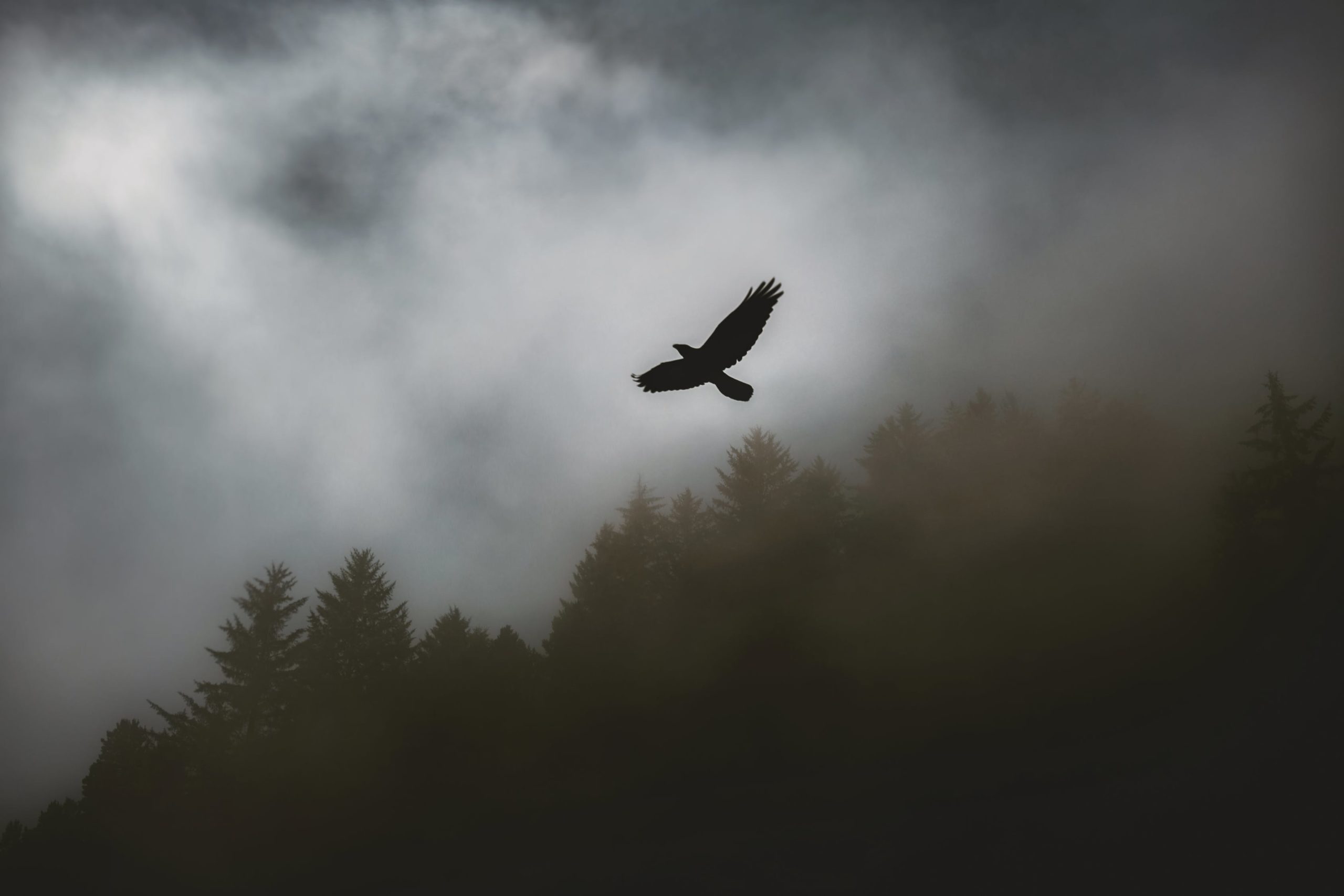 untethered soul by michael singer