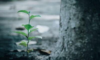 The Five Stages of Spiritual Growth You Must Know Right Now