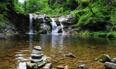 Surrender: A Powerful Approach to Life