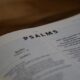 33 Powerful Verses from the Book of Psalms