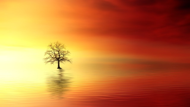 what is the purpose of life